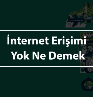 İnternet Erişimi Yok Ne Demek