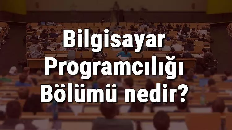 Bilgisayar Programcılığı Taban Puanları 2023