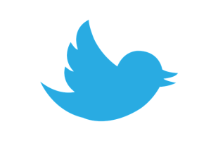 Twitter X Nedir?