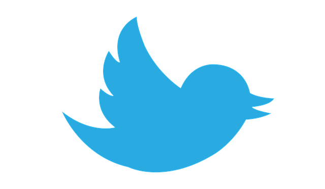 Twitter X Nedir?